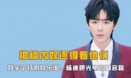 娱乐圈内人爆料刘宇宁,刘宇宁疑涉重大事件，真相即将揭晓！